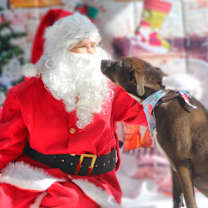 Thumbnail photo of Wanda JC #3