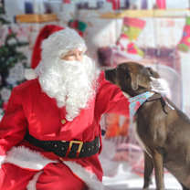 Thumbnail photo of Wanda JC #4