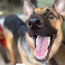 Thumbnail photo of Max #1