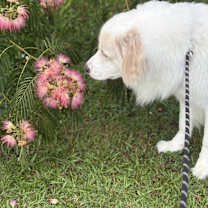 Thumbnail photo of Finley #4