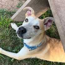 Thumbnail photo of Mozze #3