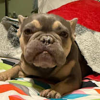 Thumbnail photo of Chanel #3