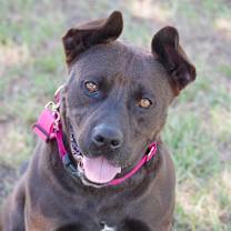 Thumbnail photo of Tucker #1