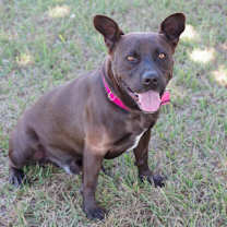 Thumbnail photo of Tucker #3