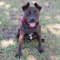 Thumbnail photo of Tucker #4