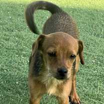 Thumbnail photo of 161515 #1