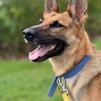 Thumbnail photo of Aubri #2