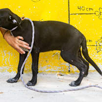 Thumbnail photo of Pam #3