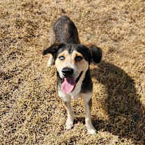 Thumbnail photo of Helene JuM #3