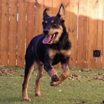 Thumbnail photo of Ghost JuM #4