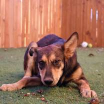 Thumbnail photo of Parade JuM #3