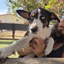 Thumbnail photo of Em JuM #2