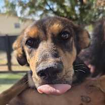 Thumbnail photo of Parade JuM #2