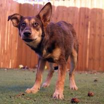 Thumbnail photo of Parade JuM #4