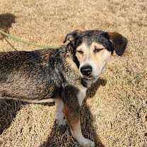 Thumbnail photo of Helene JuM #4