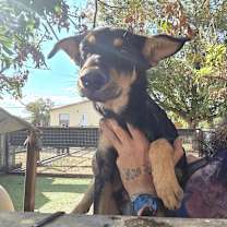 Thumbnail photo of Ghost JuM #2