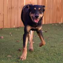 Thumbnail photo of Ghost JuM #3