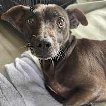 Thumbnail photo of Walter #3