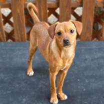 Thumbnail photo of Roscow #2