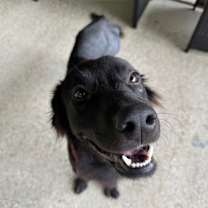 Thumbnail photo of Bear #1