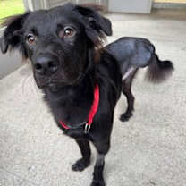 Thumbnail photo of Bear #2