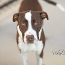 Thumbnail photo of Harlen #1