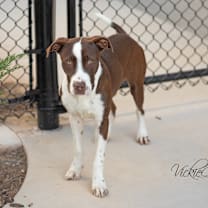 Thumbnail photo of Harlen #4