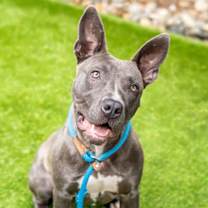 Thumbnail photo of JAQUELINE #1