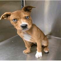 Thumbnail photo of Tarantino #1