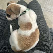 Thumbnail photo of Walter #4