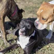 Thumbnail photo of Selena #2