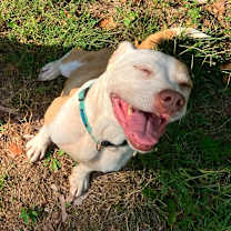 Thumbnail photo of Alice #3