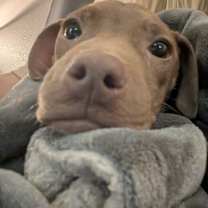 Thumbnail photo of Cooper #4