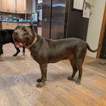 Thumbnail photo of Davy Jones #2