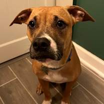 Thumbnail photo of River #1