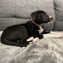 Thumbnail photo of Kitty #1