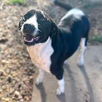 Thumbnail photo of Lady #2