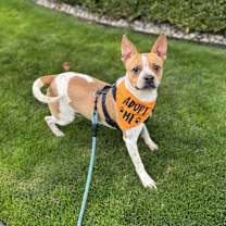 Thumbnail photo of Henry #2