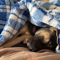 Thumbnail photo of FIONA #4