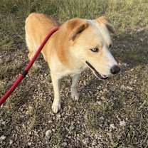 Thumbnail photo of Chip #3