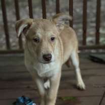 Thumbnail photo of Prince #2