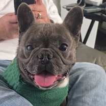 Thumbnail photo of Bleu #1