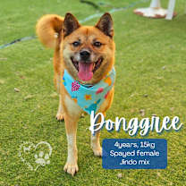 Thumbnail photo of Dongree #1