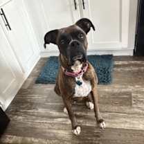 Thumbnail photo of BELINDA #3