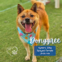 Thumbnail photo of Dongree #2