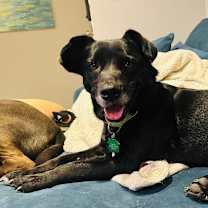 Thumbnail photo of Franklynn #1