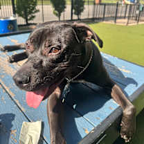 Thumbnail photo of Tucker #2