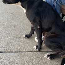 Thumbnail photo of Boots #3