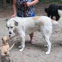 Thumbnail photo of Thor #4