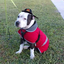 Thumbnail photo of Buster #1